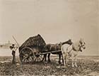 Gathering sea weed on beach | Margate History